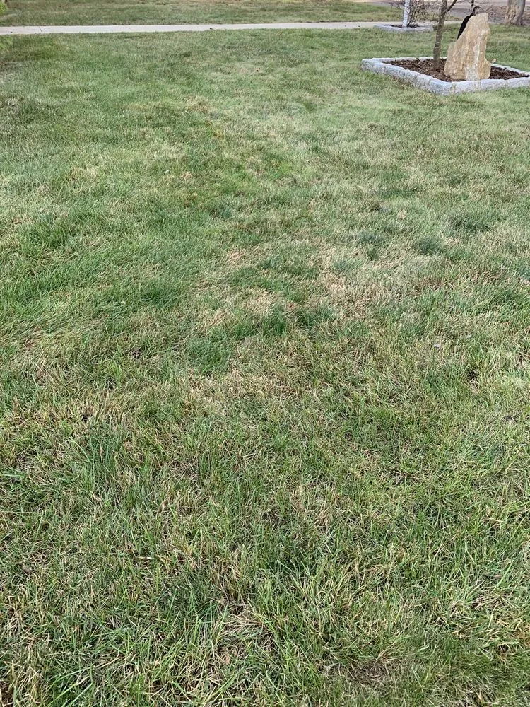 Top-rated landscape design in Monroe, CT - Jimmy's Lawn & Landscaping