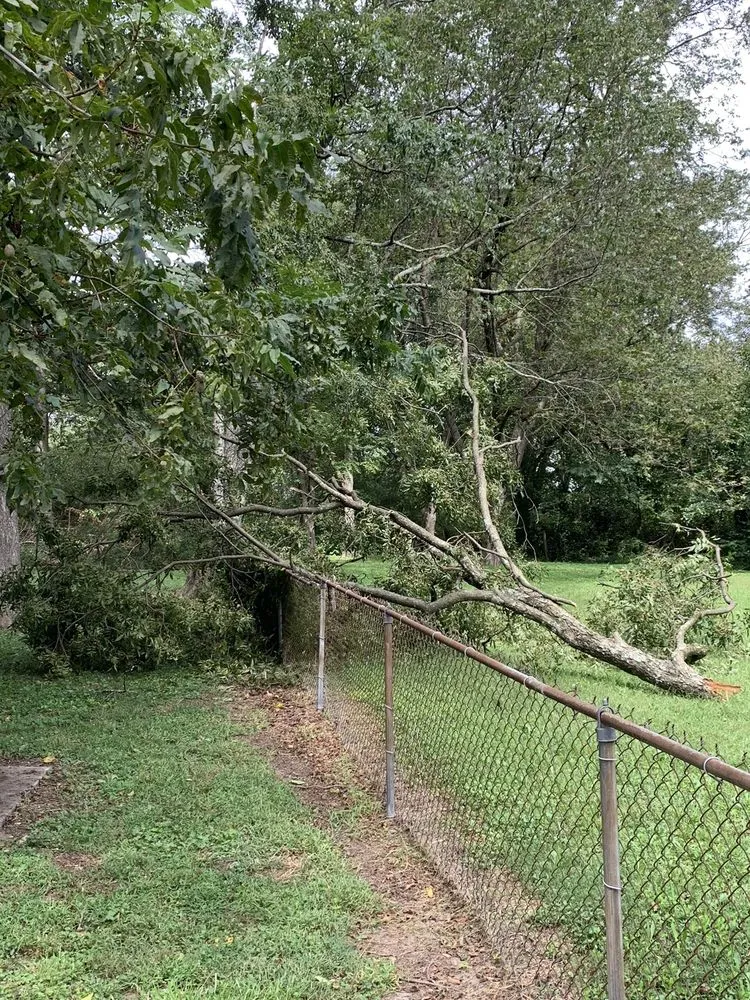 Custom landscape installation experts serving Marietta, GA - Jimmy's Lawn and Landscape