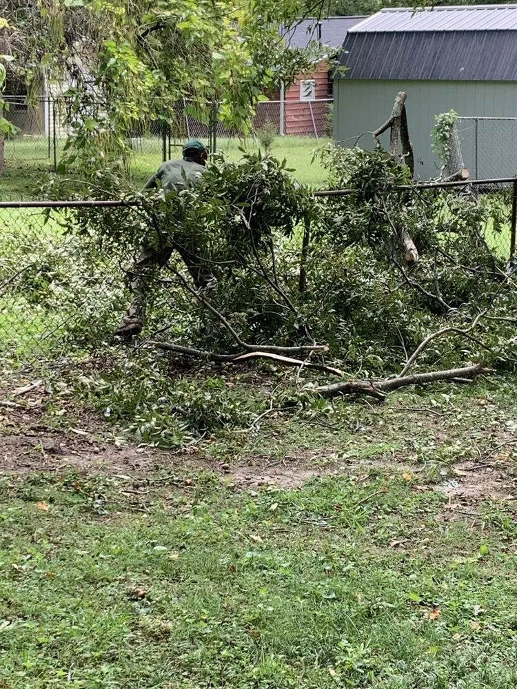 Custom lawn care service for year-round maintenance across Marietta, GA - Jimmy's Lawn and Landscape