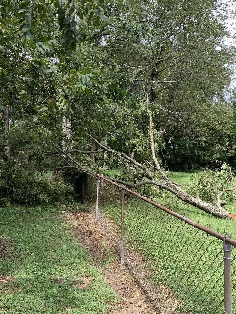 Reliable yard maintenance experts serving Marietta, GA - Jimmy's Lawn and Landscape