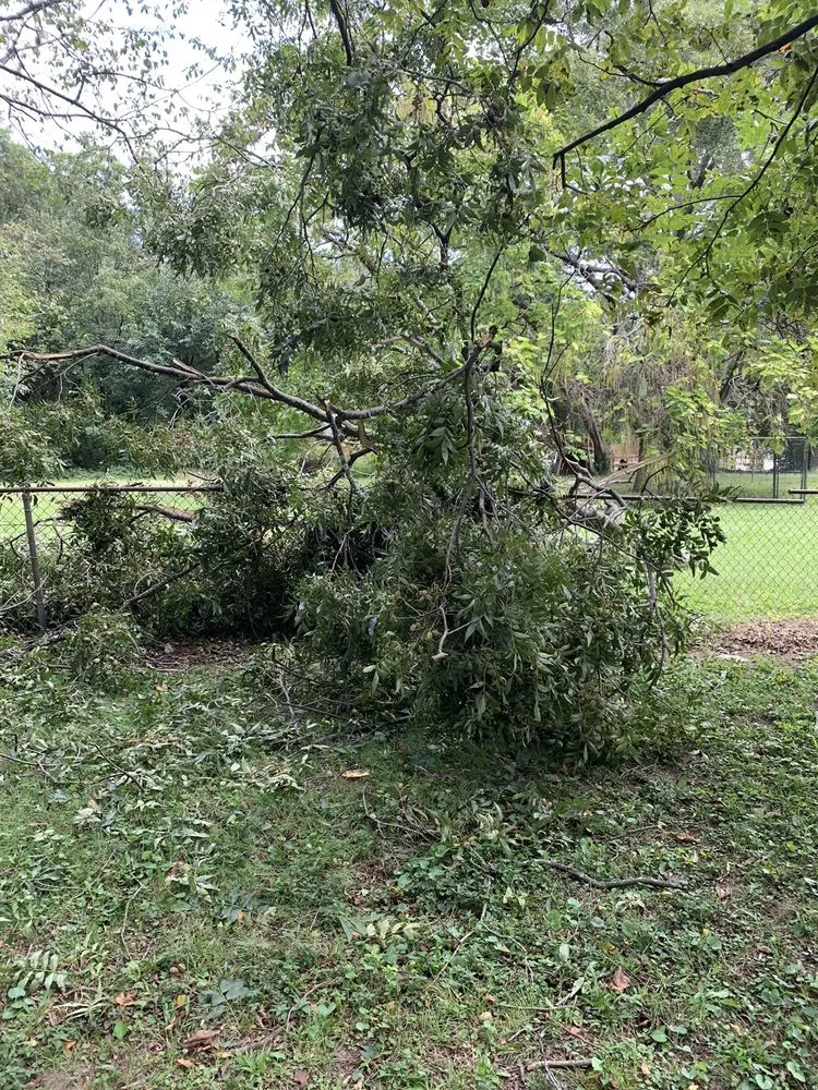 Trusted landscape installation for residential properties in Marietta, GA by Jimmy's Lawn and Landscape