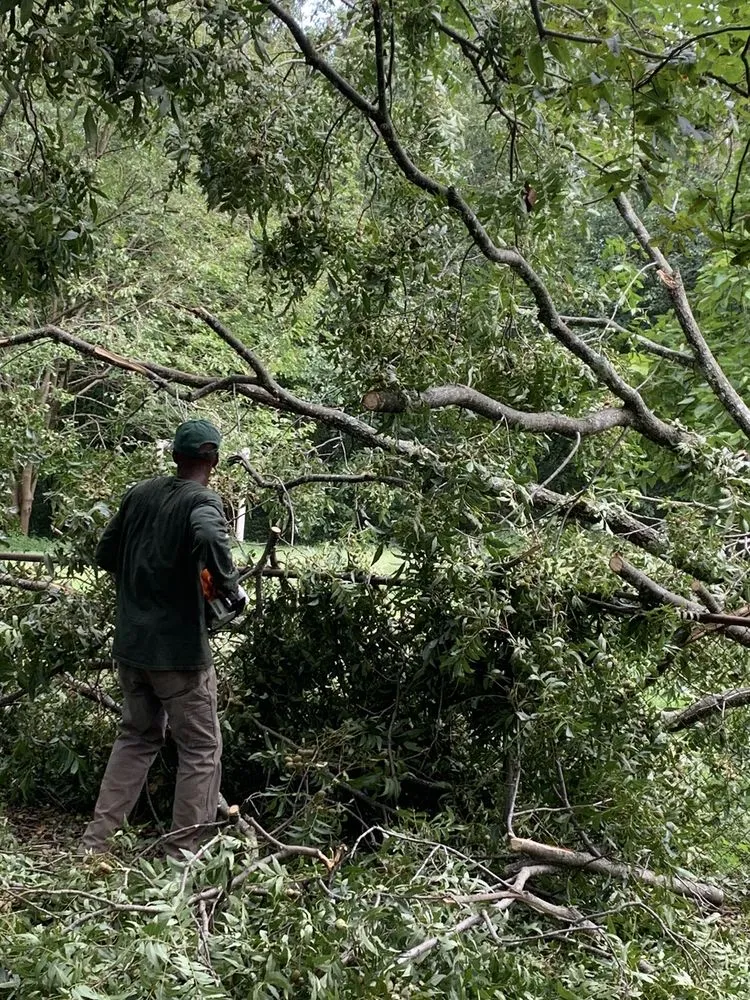 Affordable lawn care service for outdoor upgrades in Marietta, GA by Jimmy's Lawn and Landscape