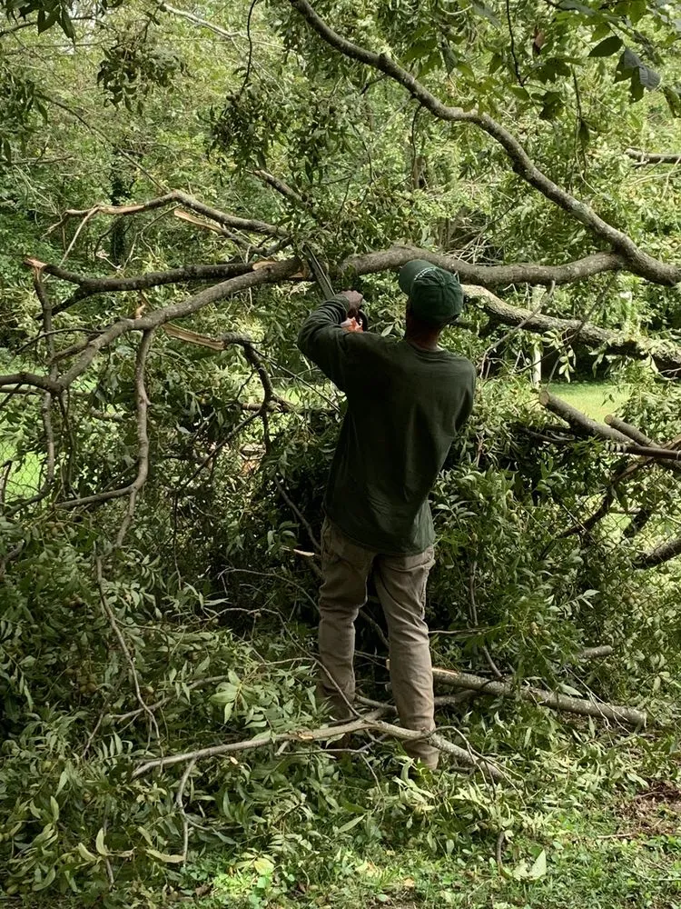 Top-rated lawn mowing service near you in Marietta, GA by Jimmy's Lawn and Landscape