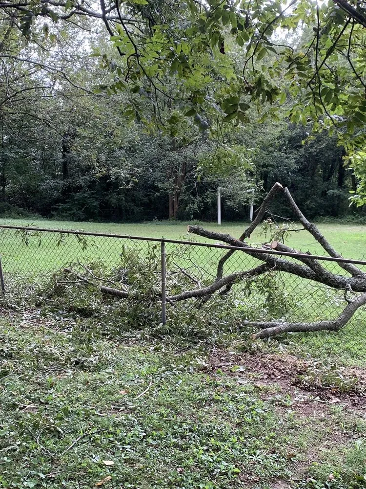 Local lawn mowing service in Marietta, GA - Jimmy's Lawn and Landscape