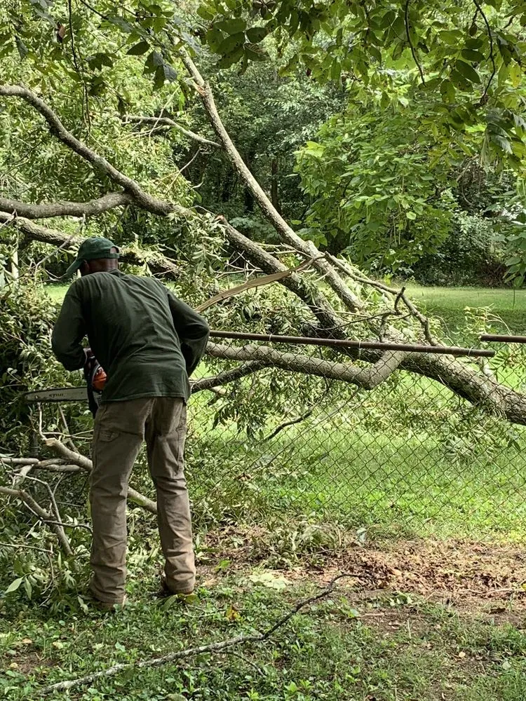 Top-rated lawn care service experts serving Marietta, GA - Jimmy's Lawn and Landscape