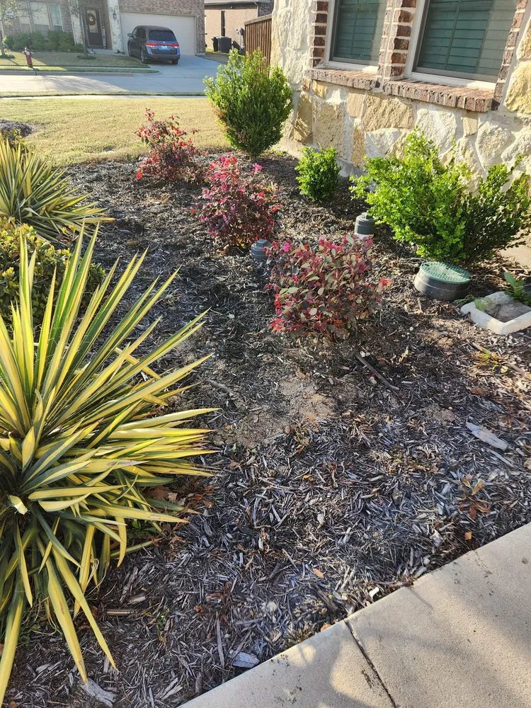 Expert yard cleanup service for residential properties in McKinney, TX by Jimmy's Lawn Care & Maintenance