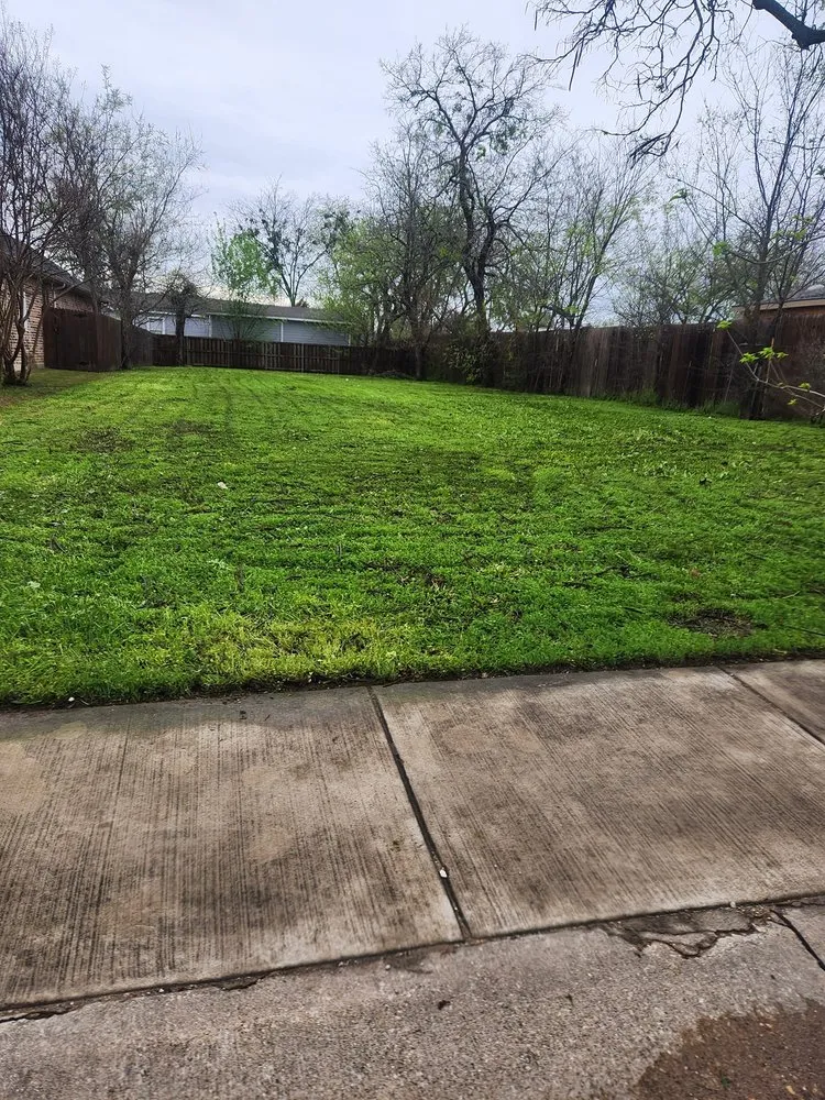 Professional landscaping services in McKinney, TX - Jimmy's Lawn Care & Maintenance