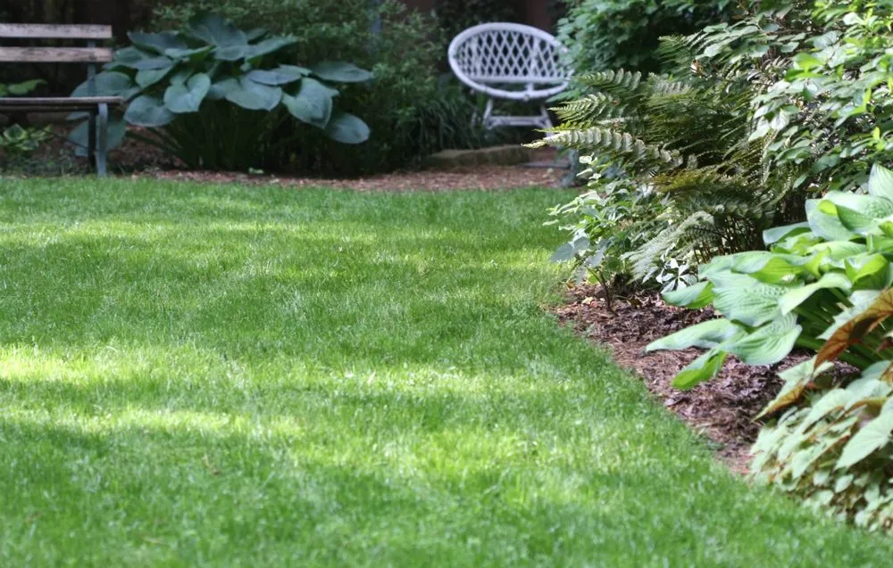 Custom lawn care service in Wilmington, DE - Jimmy's Lawn Care