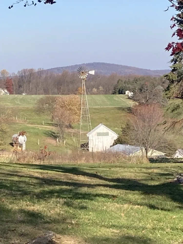 Expert yard maintenance experts serving Lititz, PA - Jimmy’s Lawn Service