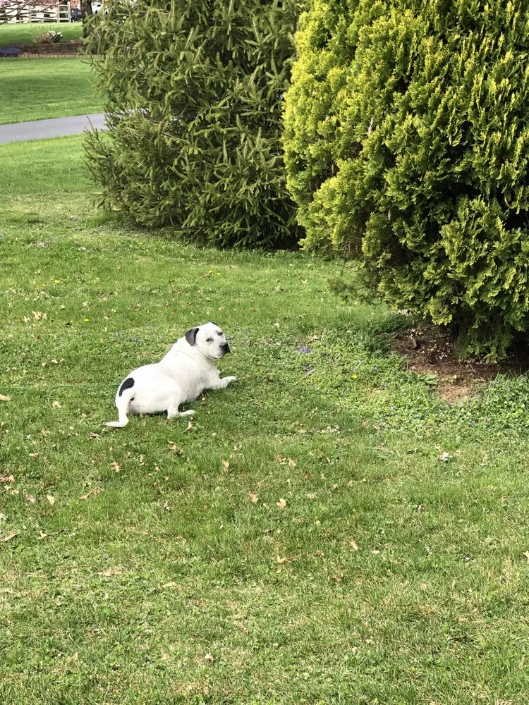 Expert garden landscaping in Lititz, PA - Jimmy’s Lawn Service