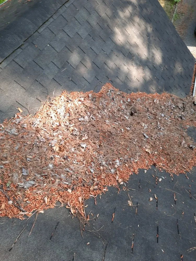 Local landscaping services for homes in Ocean City, MD by Jimmys Lawncare and Improvments