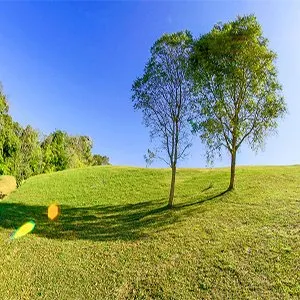 Reliable yard maintenance for residential properties in Lynn, MA by Jimmy's Masonry & Landscaping