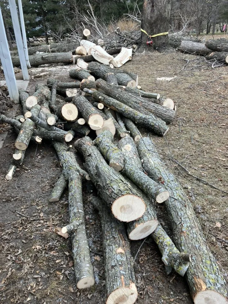 Expert yard cleanup service experts serving Rochester, MN - Jimmys Outdoor Services And Snow Removal