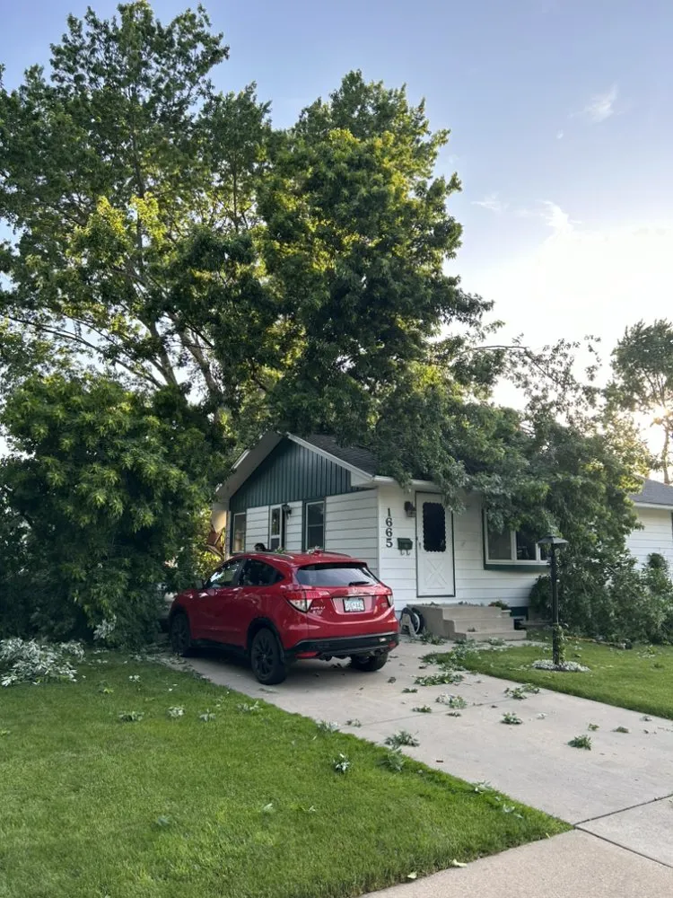 Custom yard cleanup service in Rochester, MN by Jimmys Outdoor Services And Snow Removal