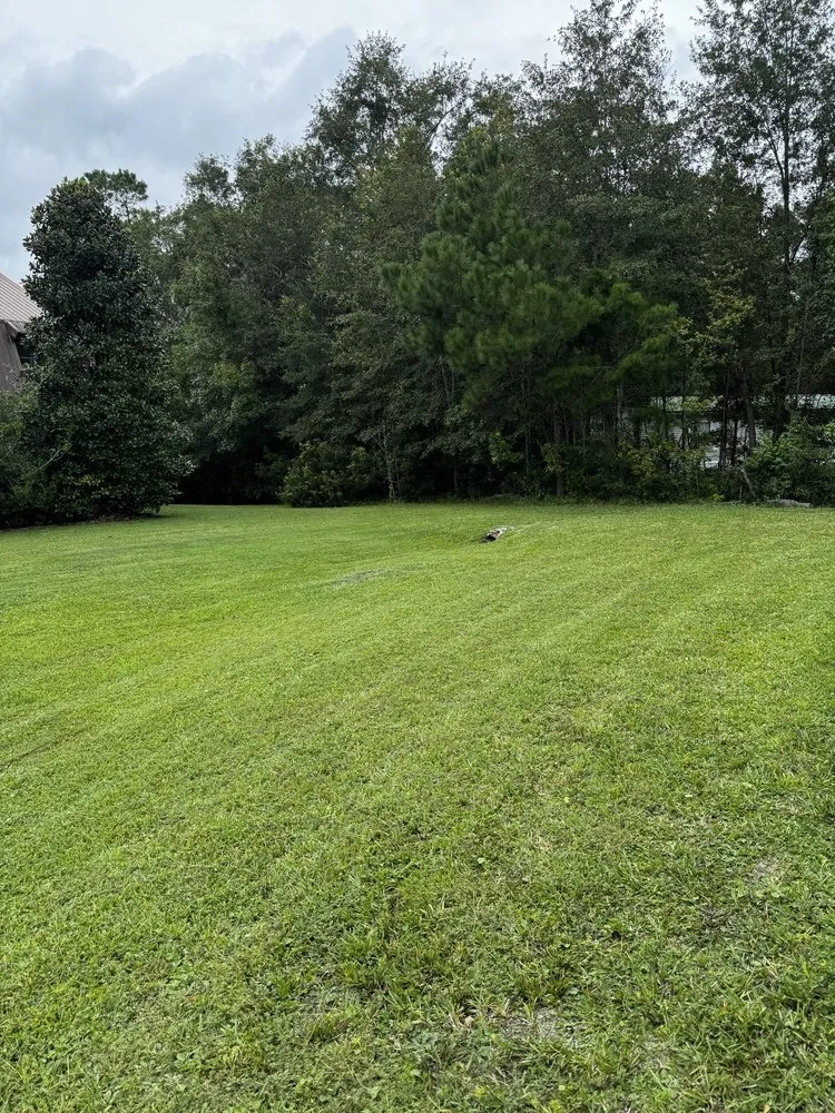 Trusted landscape installation for year-round maintenance across Lake City, FL - Jimmy’s Simple Lawn Care