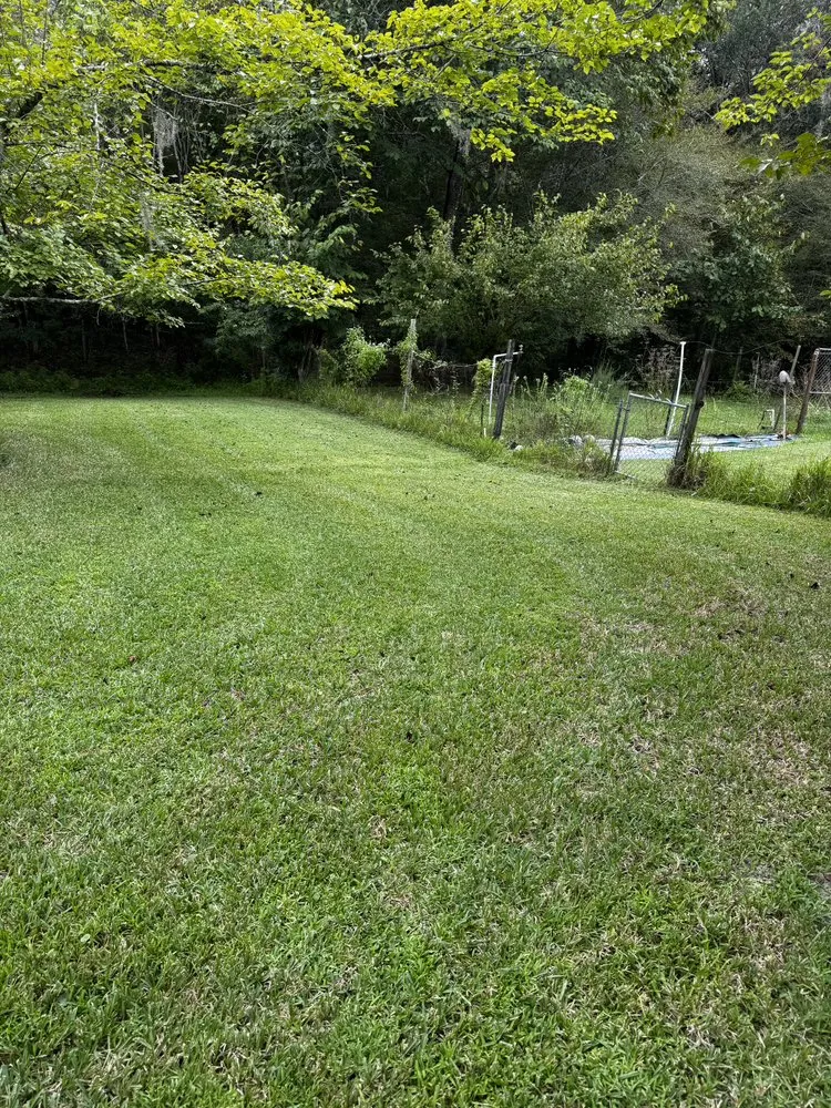 Custom yard cleanup service for residential properties in Lake City, FL by Jimmy’s Simple Lawn Care