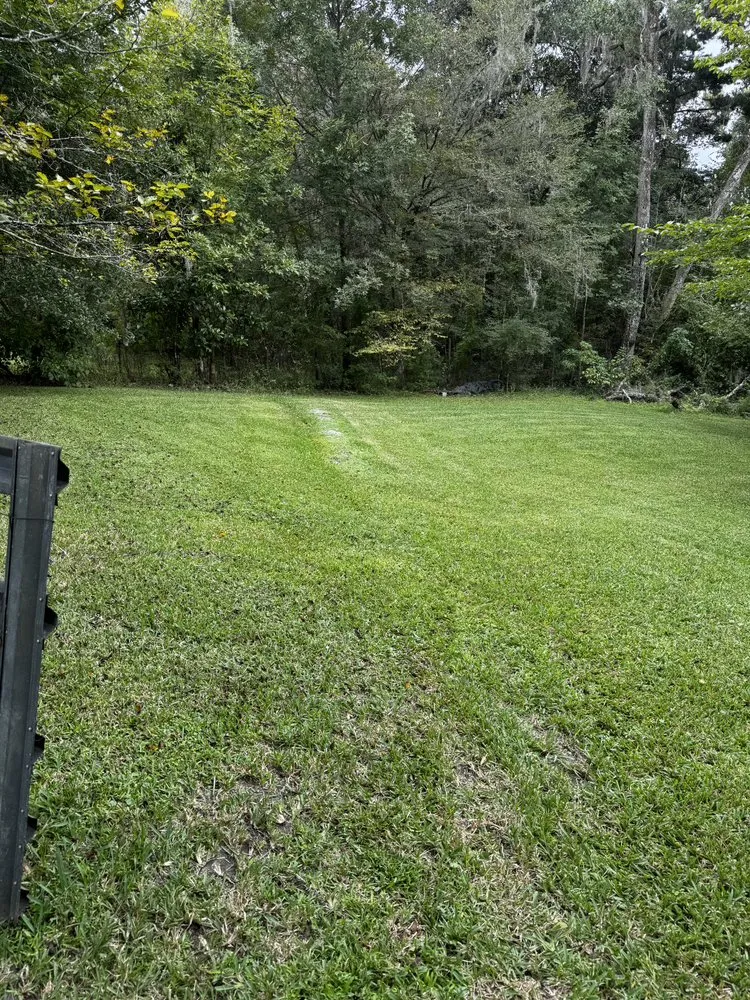 Local yard maintenance in Lake City, FL by Jimmy’s Simple Lawn Care