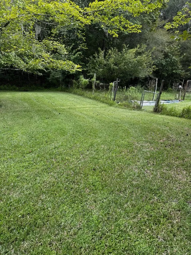 Reliable landscaping services for residential properties in Lake City, FL by Jimmy’s Simple Lawn Care