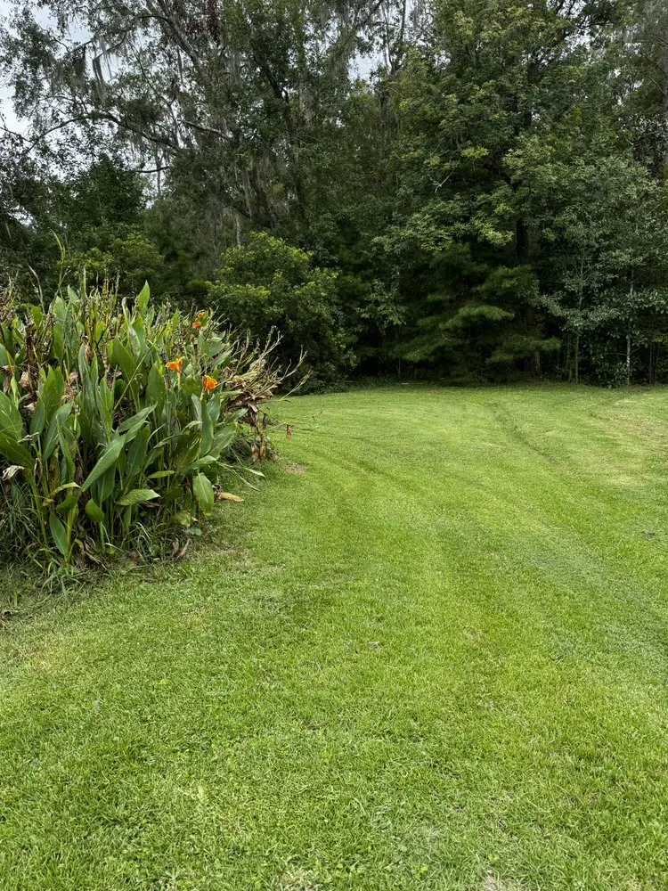 Trusted landscape installation in Lake City, FL - Jimmy’s Simple Lawn Care