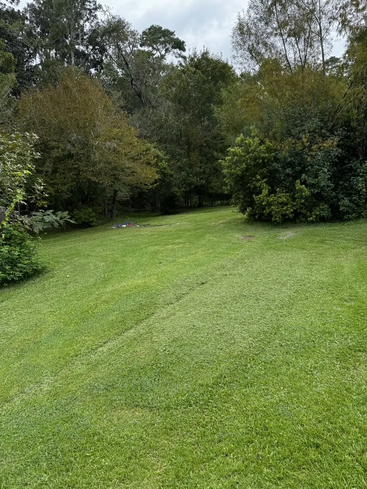 Affordable landscape installation experts serving Lake City, FL - Jimmy’s Simple Lawn Care