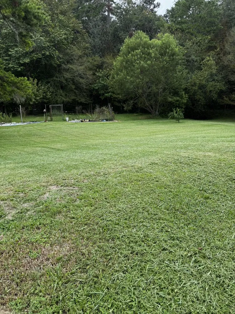 Affordable garden landscaping experts serving Lake City, FL - Jimmy’s Simple Lawn Care