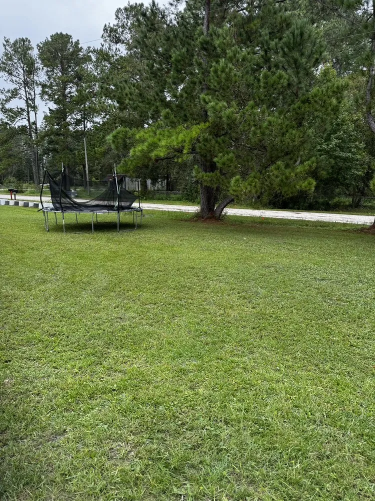 Professional yard cleanup service in Lake City, FL by Jimmy’s Simple Lawn Care