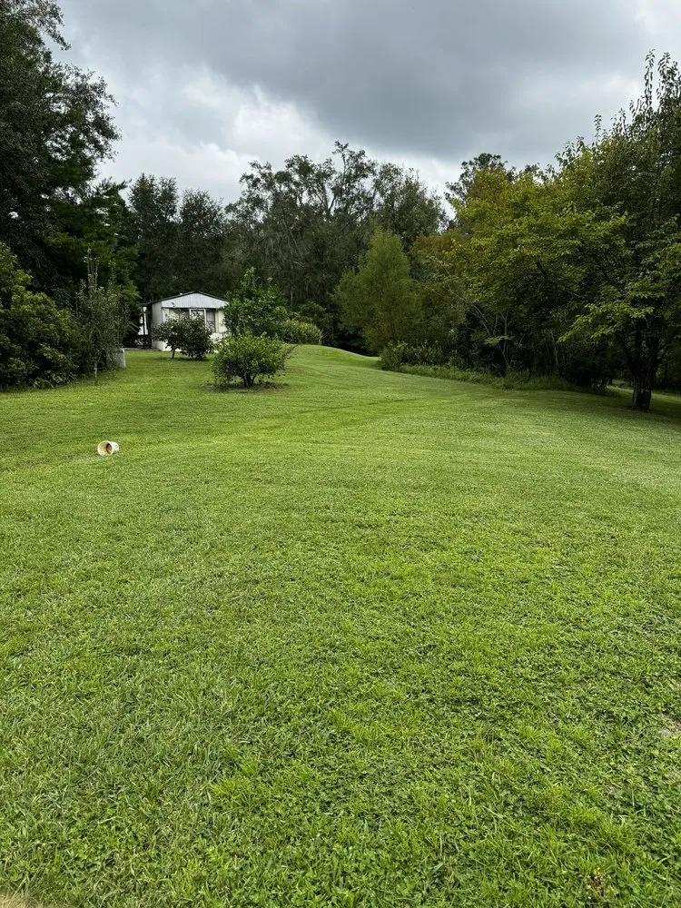 Professional yard cleanup service in Lake City, FL - Jimmy’s Simple Lawn Care