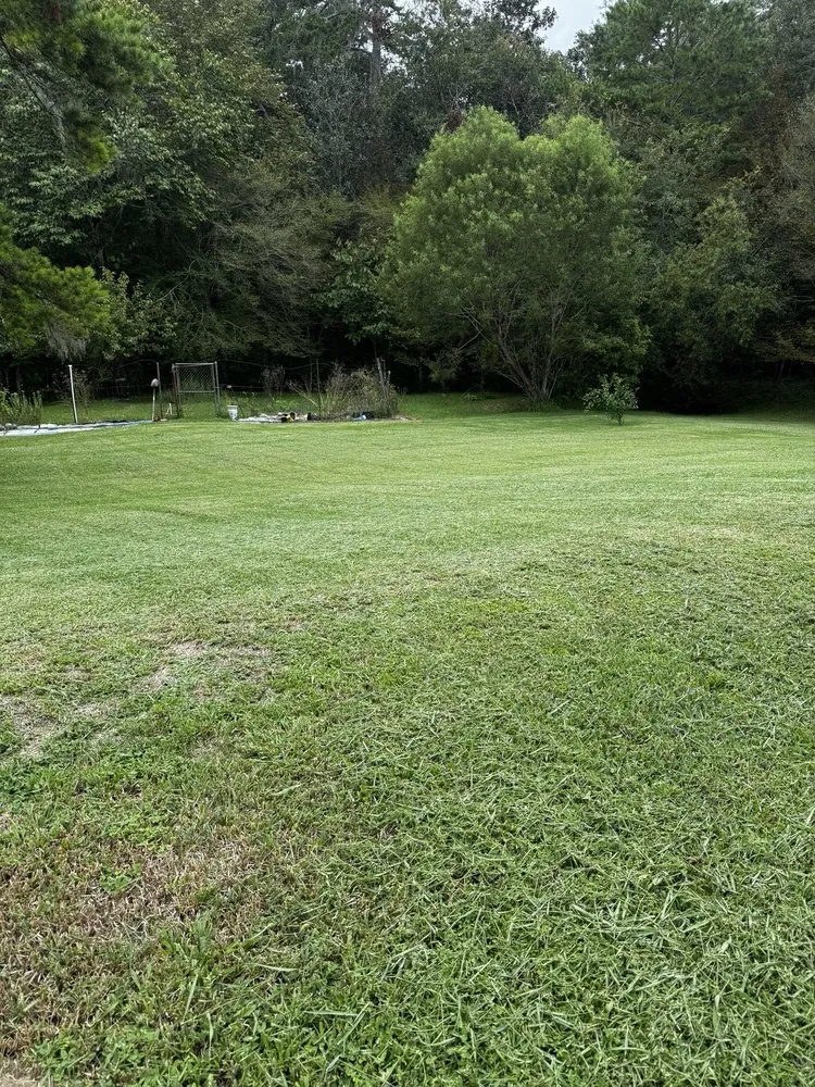 Expert garden landscaping experts serving Lake City, FL - Jimmy’s Simple Lawn Care