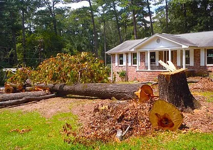 Local lawn care service experts serving Riverside, NJ - Jimmy's Tree Service