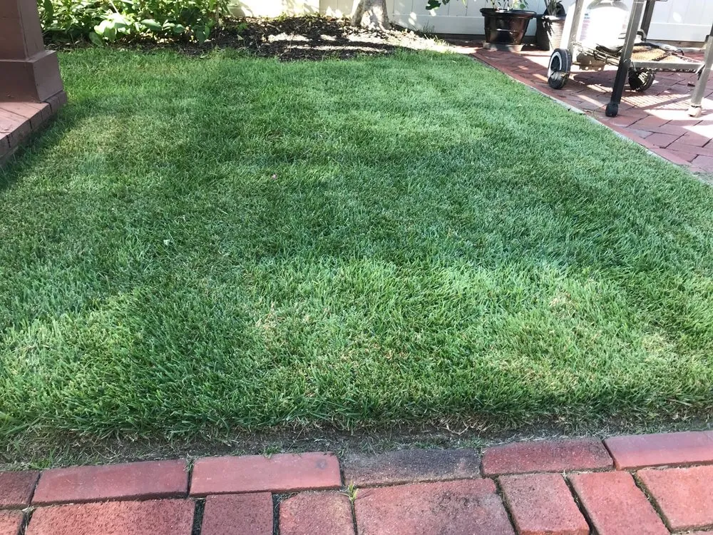 Expert landscape design in Magnolia, NJ - Jimni Kricket