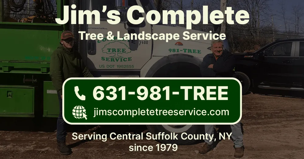 Top-rated yard cleanup service for residential properties across Farmingville, NY - Jim's Complete Tree & Landscape Service