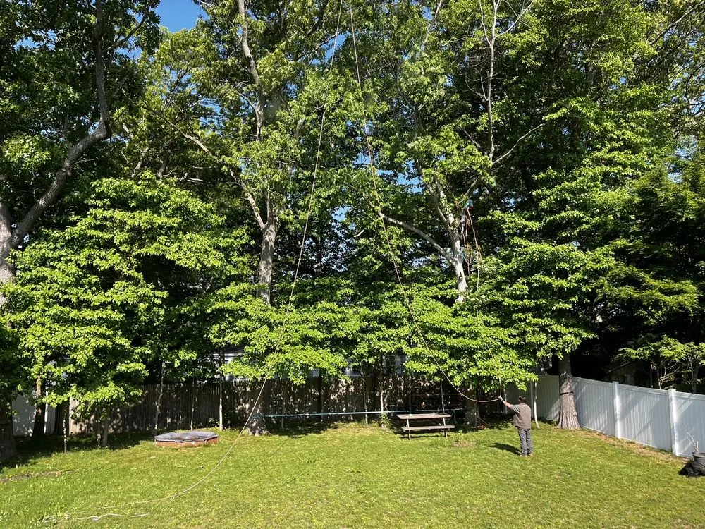 Professional outdoor landscaping in Farmingville, NY - Jim's Complete Tree & Landscape Service