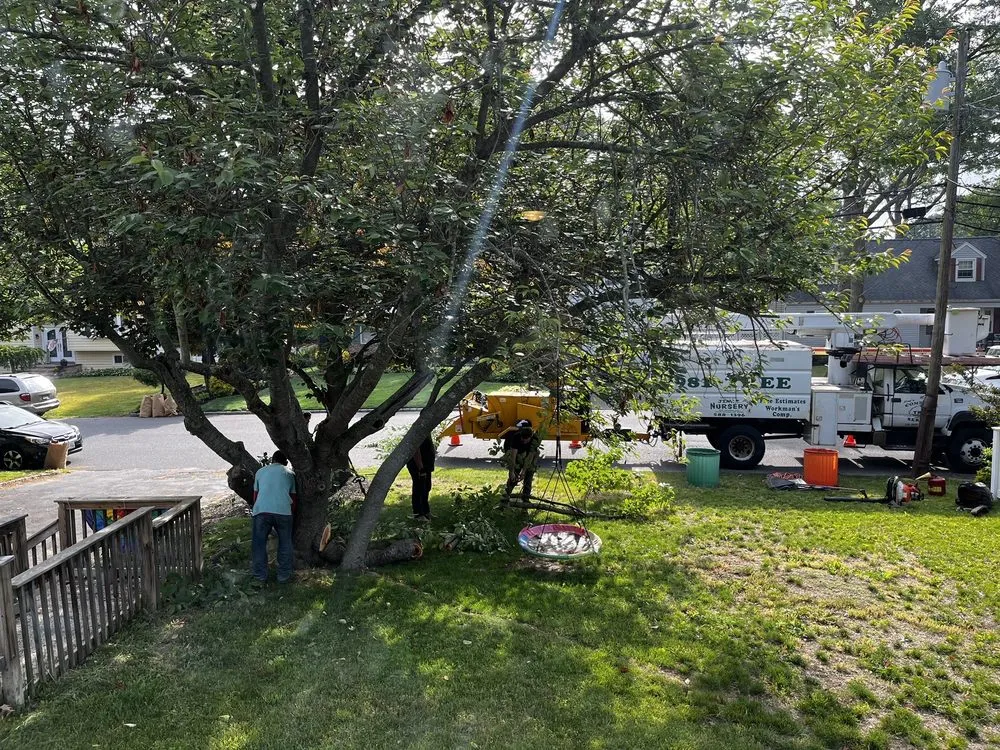 Custom outdoor landscaping for homes in Farmingville, NY by Jim's Complete Tree & Landscape Service