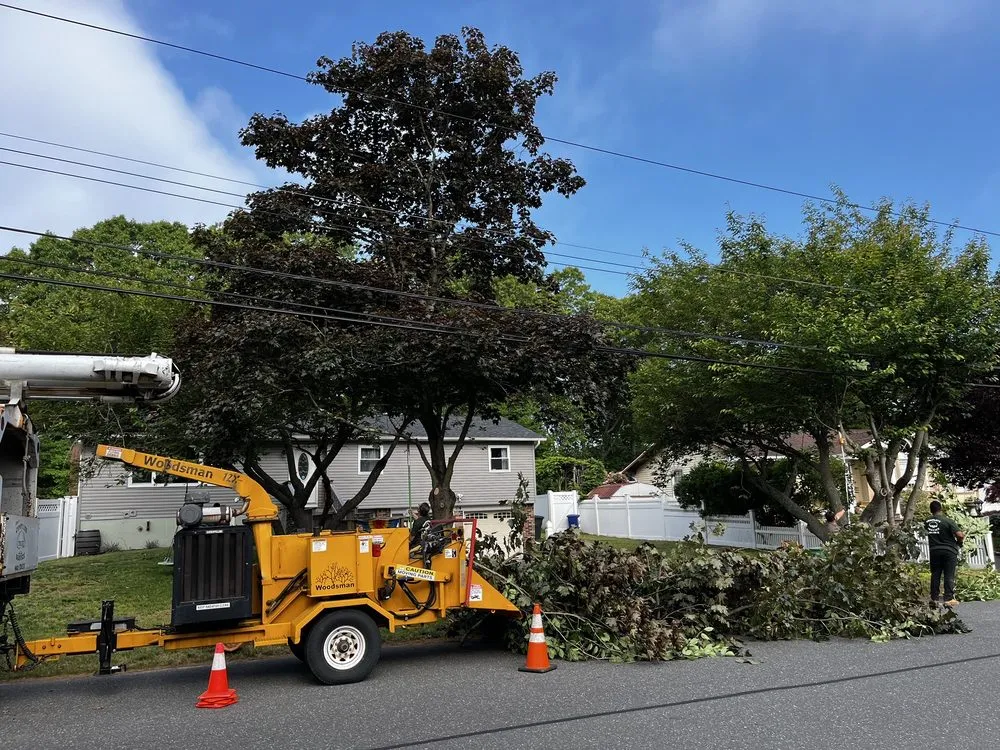 Local lawn care service for outdoor upgrades in Farmingville, NY by Jim's Complete Tree & Landscape Service