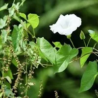 Top-rated landscape installation near you across Chico, CA - Jim's Custom Weed Control