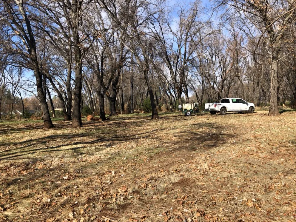 Local garden landscaping for year-round maintenance across Chico, CA - Jim's Custom Weed Control