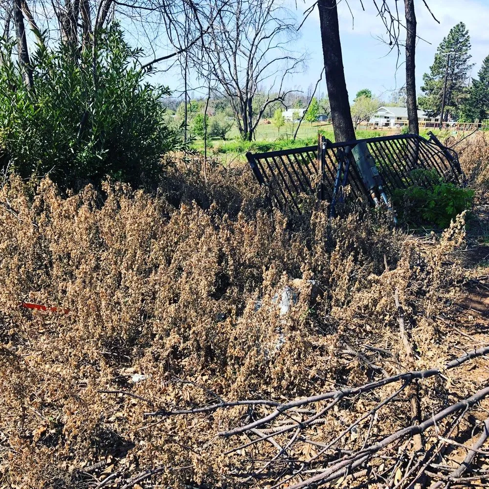 Top-rated lawn mowing service in Chico, CA by Jim's Custom Weed Control