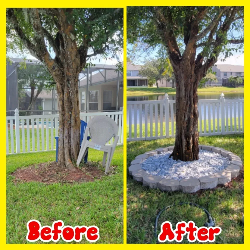 Custom lawn mowing service experts serving Orlando, FL - Jim's Full Lawn Service & Home Clean Out