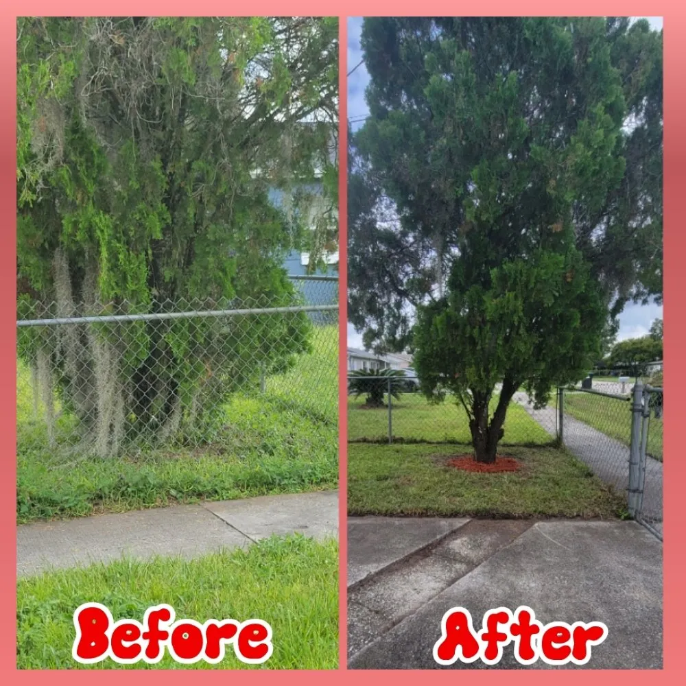 Expert residential landscaping in Orlando, FL - Jim's Full Lawn Service & Home Clean Out