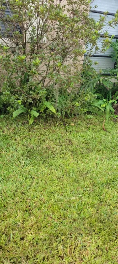 Custom landscape installation with custom design in Orlando, FL by Jim's Full Lawn Service & Home Clean Out