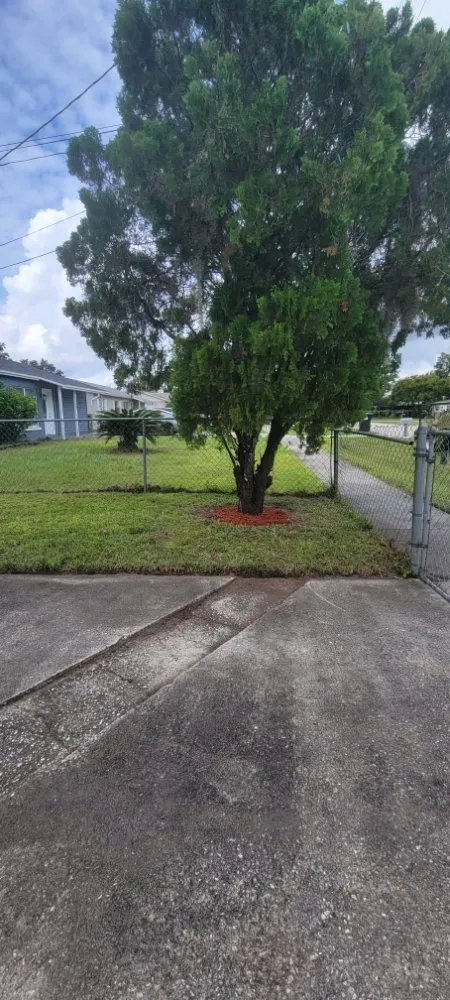 Trusted yard maintenance experts serving Orlando, FL - Jim's Full Lawn Service & Home Clean Out