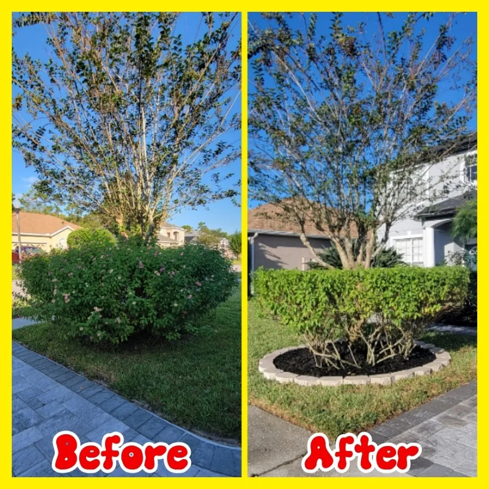 Affordable residential landscaping for beautiful yards in Orlando, FL by Jim's Full Lawn Service & Home Clean Out