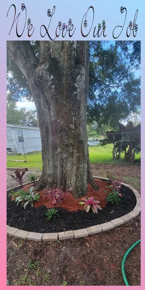 Affordable residential landscaping experts serving Orlando, FL - Jim's Full Lawn Service & Home Clean Out
