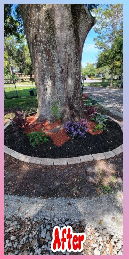 Trusted yard cleanup service in Orlando, FL - Jim's Full Lawn Service & Home Clean Out