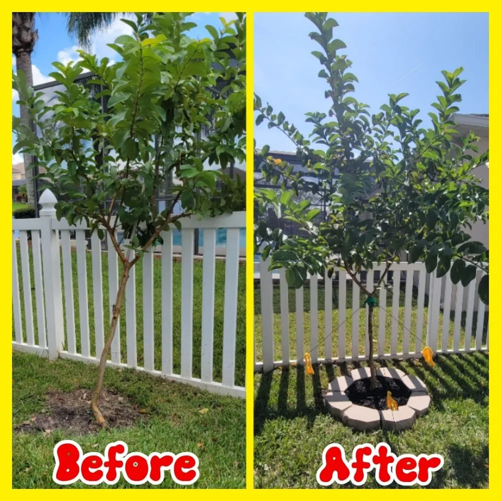 Professional outdoor landscaping experts serving Orlando, FL - Jim's Full Lawn Service & Home Clean Out