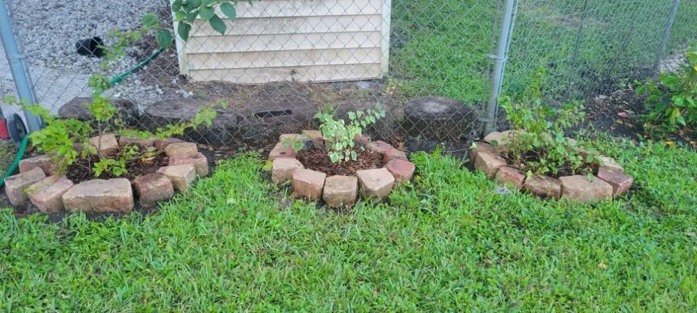 Custom landscape design in Orlando, FL by Jim's Full Lawn Service & Home Clean Out