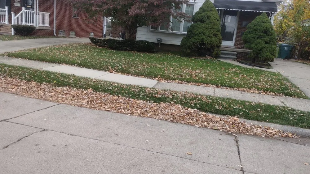 Reliable residential landscaping for year-round maintenance in Roseville, MI by Jim's Landscaping 101