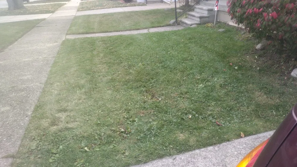 Trusted landscape installation for residential properties across Roseville, MI - Jim's Landscaping 101