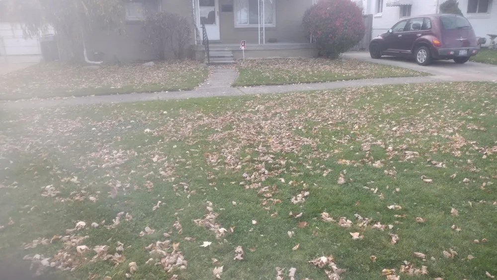 Trusted lawn care service in Roseville, MI by Jim's Landscaping 101