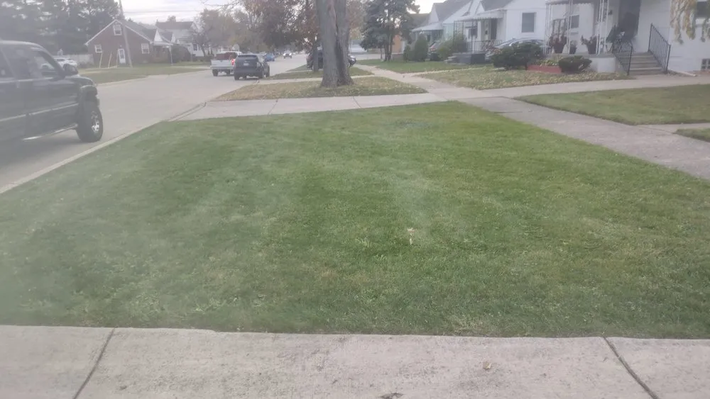 Trusted residential landscaping experts serving Roseville, MI - Jim's Landscaping 101